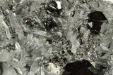 Gemmy Cassiterite Crystals On Quartz - Viloco Mine, Bolivia #192173-2